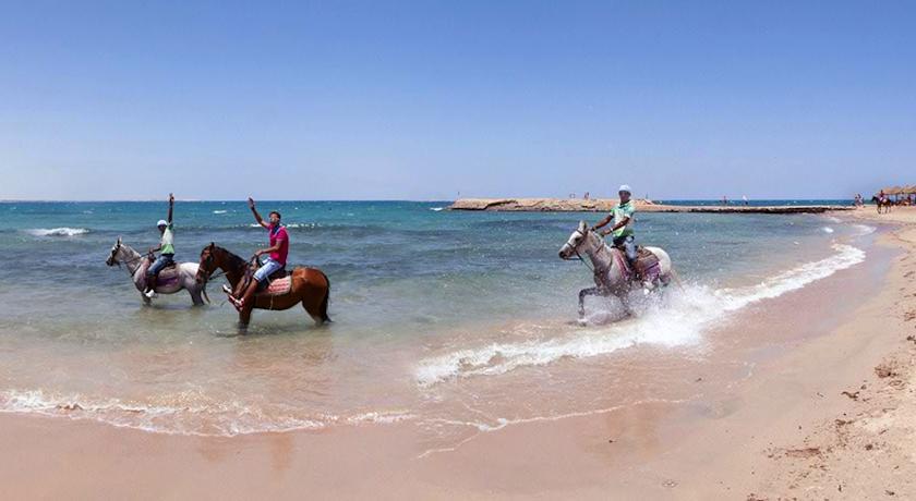 Golden 5 Almas Palace & Resort 5*